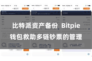 比特派资产备份 Bitpie钱包救助多链钞票的管理