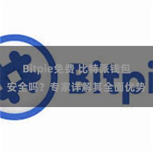 Bitpie免费 比特派钱包安全吗？专家详解其全面优势