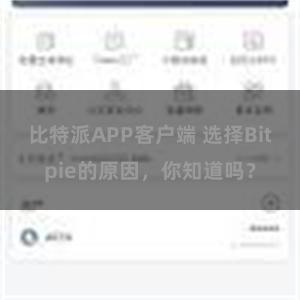 比特派APP客户端 选择Bitpie的原因，你知道吗？