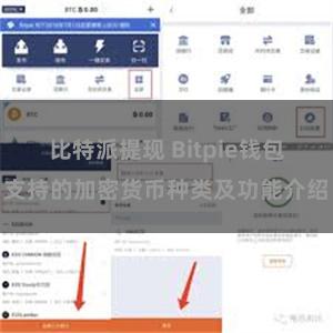 比特派提现 Bitpie钱包支持的加密货币种类及功能介绍