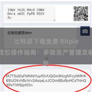 比特派下载免费 Bitpie钱包操作指南：多链资产管理攻略