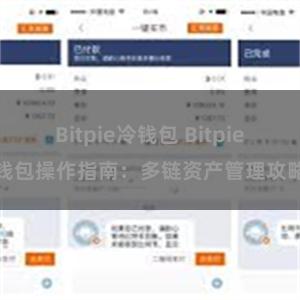 Bitpie冷钱包 Bitpie钱包操作指南：多链资产管理攻略