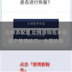 比特派配置 比特派钱包多链资产管理技巧：全面攻略