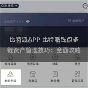 比特派APP 比特派钱包多链资产管理技巧：全面攻略