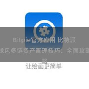 Bitpie官方应用 比特派钱包多链资产管理技巧：全面攻略