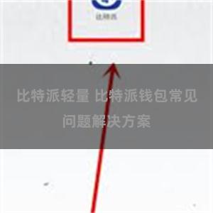 比特派轻量 比特派钱包常见问题解决方案