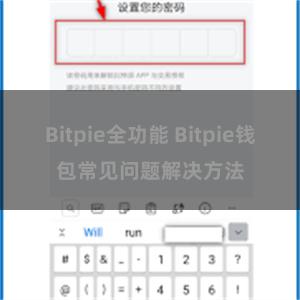 Bitpie全功能 Bitpie钱包常见问题解决方法