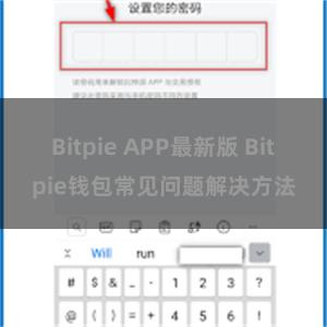 Bitpie APP最新版 Bitpie钱包常见问题解决方法