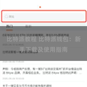 比特派教程 比特派钱包：新手下载及使用指南