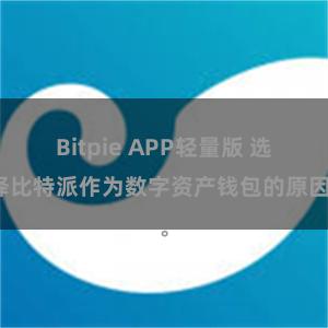 Bitpie APP轻量版 选择比特派作为数字资产钱包的原因。