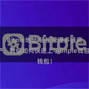 Bitpie地址 轻松管理多链资产，教你如何快速上手Bitpie钱包！