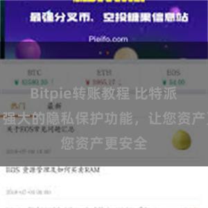 Bitpie转账教程 比特派钱包：强大的隐私保护功能，让您资产更安全