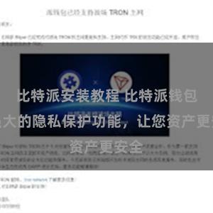 比特派安装教程 比特派钱包：强大的隐私保护功能，让您资产更安全