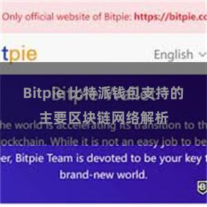 Bitpie 比特派钱包支持的主要区块链网络解析