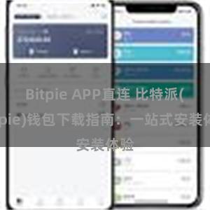 Bitpie APP直连 比特派(Bitpie)钱包下载指南：一站式安装体验