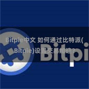 Bitpie中文 如何通过比特派(Bitpie)设置交易加速？