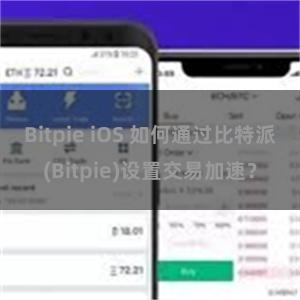 Bitpie iOS 如何通过比特派(Bitpie)设置交易加速？