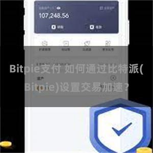 Bitpie支付 如何通过比特派(Bitpie)设置交易加速？