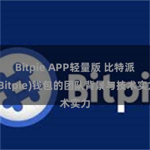 Bitpie APP轻量版 比特派(Bitpie)钱包的团队背景与技术实力