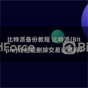 比特派备份教程 比特派(Bitpie)钱包能删除交易记录吗？