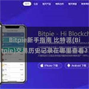 Bitpie新手指南 比特派(Bitpie)交易历史记录在哪里查看？