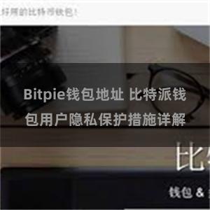 Bitpie钱包地址 比特派钱包用户隐私保护措施详解