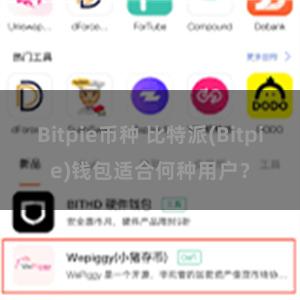 Bitpie币种 比特派(Bitpie)钱包适合何种用户？