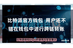 比特派官方钱包  用户还不错在钱包中进行跨链转账